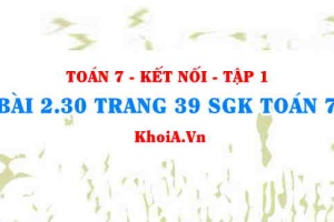 Bài 2.30 trang 39 SGK Toán 7 tập 1 Kết nối tri thức